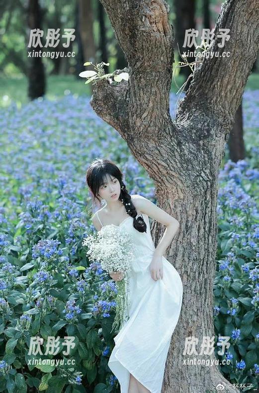 beautyleg - 感受Jill女孩的魅力：精致写真图片辑，带来心灵的共鸣