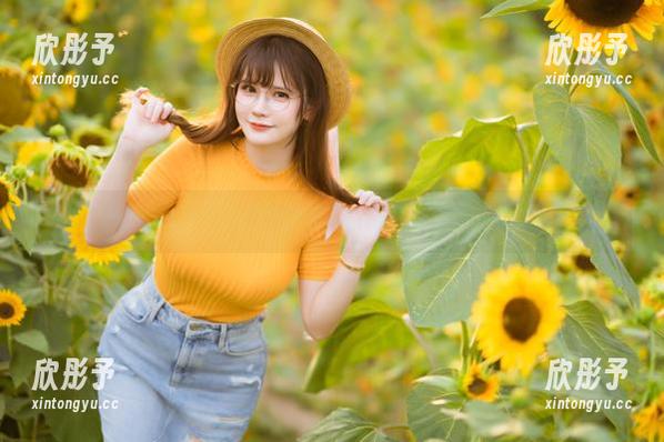 感受前羽rrDLC限量版魅力，精美原图令人心动不已