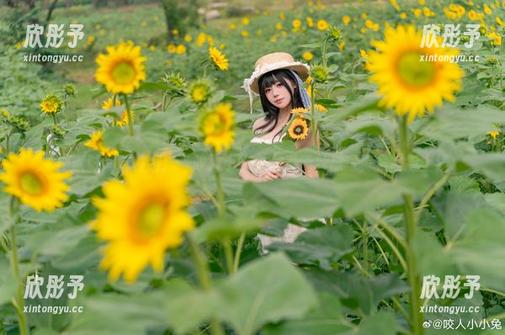 探索时尚与性感：“咬人小小兔”最新丝袜写真集震撼上线
