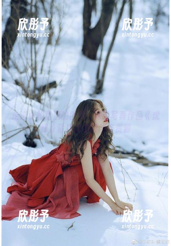 走进小和甜酒的世界：探索写真作品《虎鲸》背后的独特创作资源